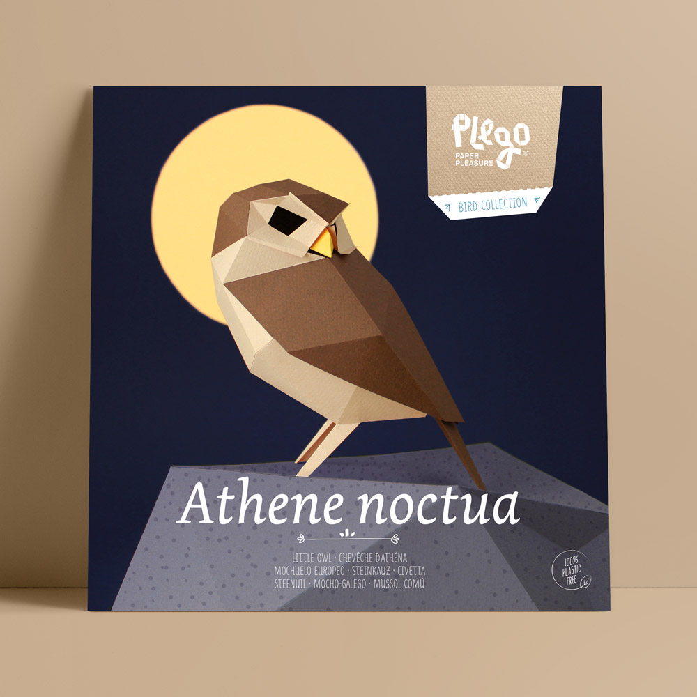 Athene Noctua