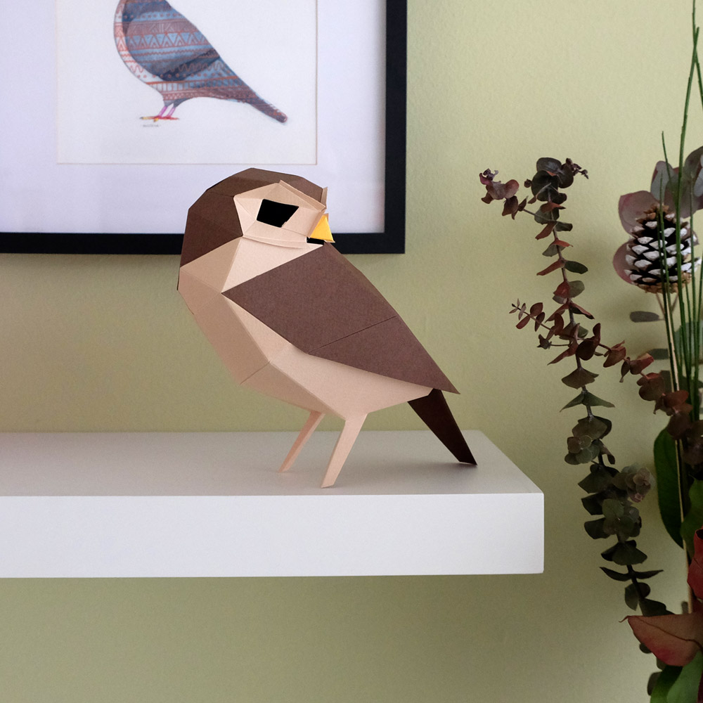 Athene Noctua - Image 4