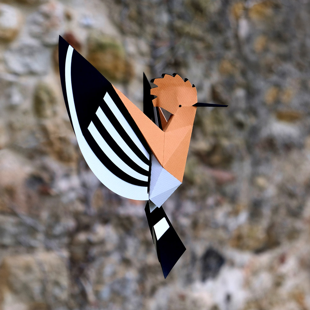 Upupa Epops – Image 8