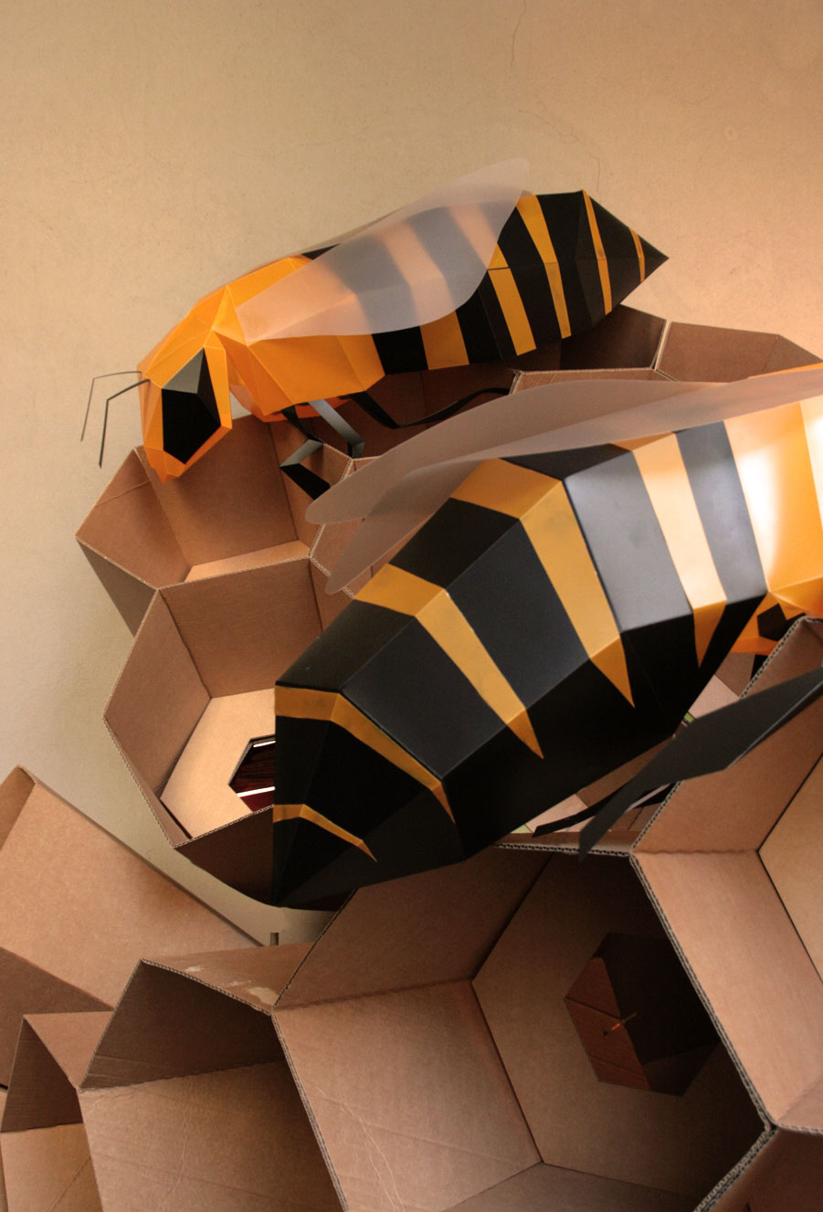 bee abelles abejas
