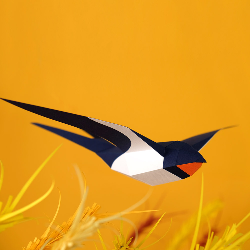 Hirundo Rustica - Imagen 3